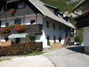 Apartmaji Hodnik Stara Fužina